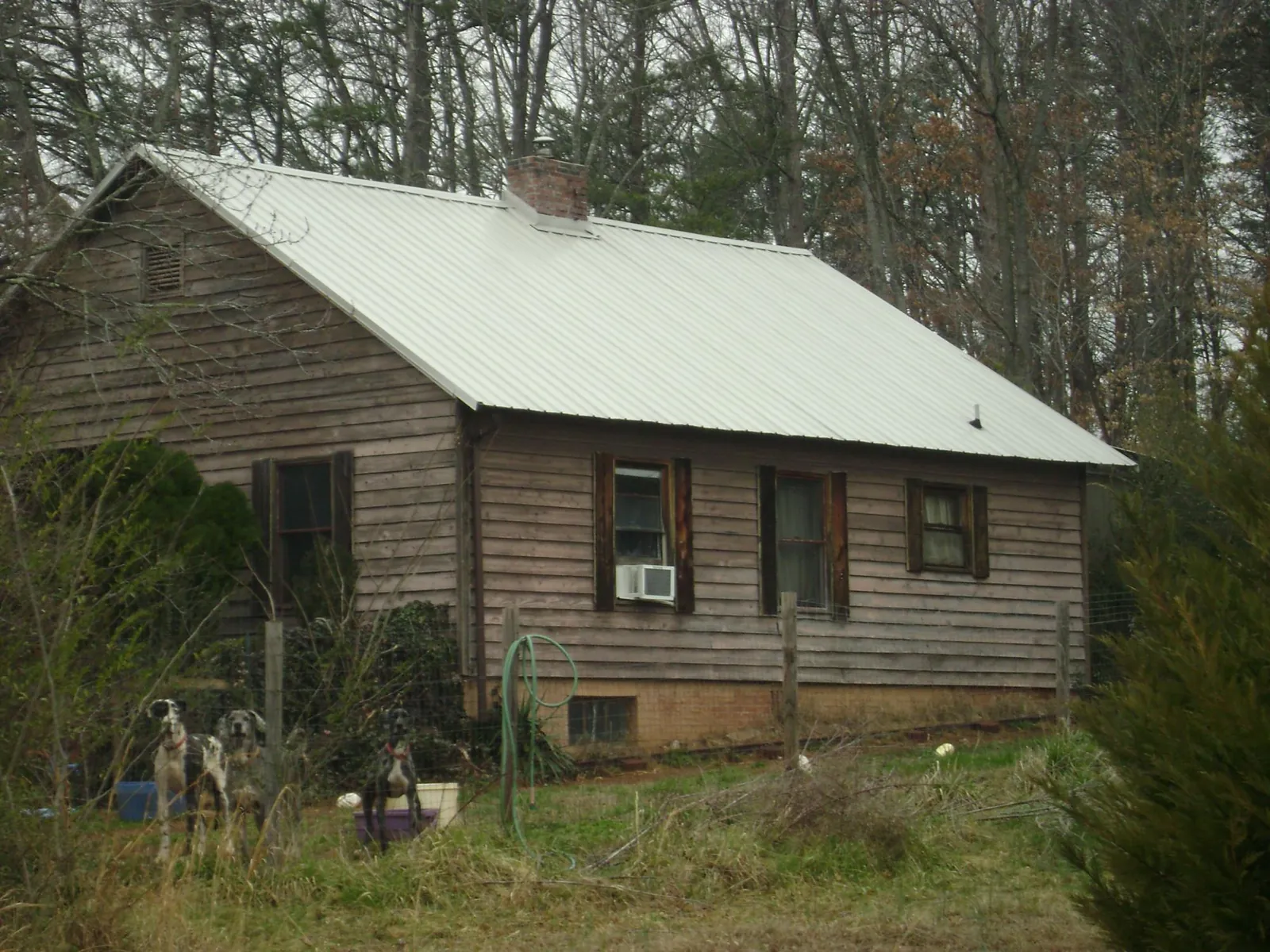 White metal roof on an old wood sided farmhouse, from a Asphalt Shingle Roof Repair job in East Lansing